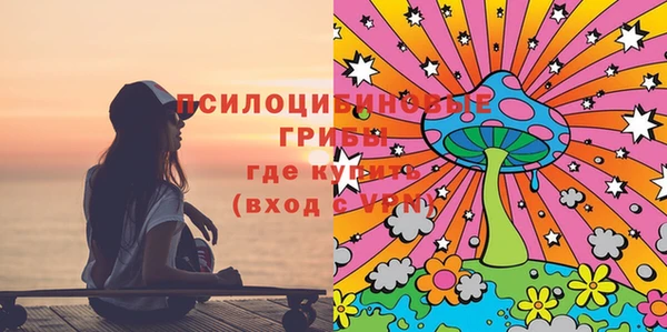 МДПВ Абаза