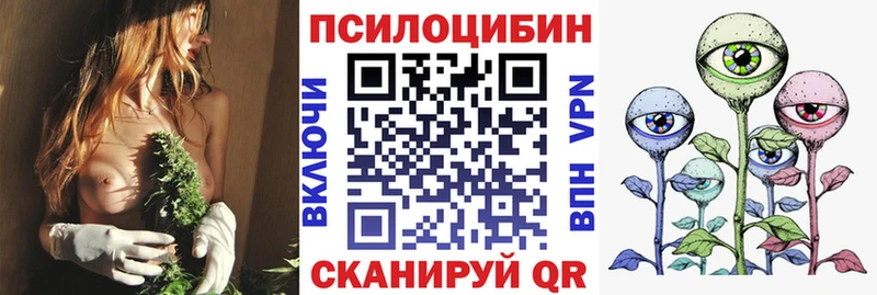 Псилоцибиновые грибы прущие грибы  купить наркоту  Пошехонье 